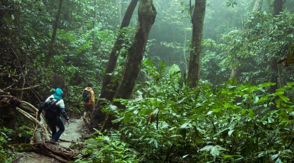 Cuc Phuong jungle trekking