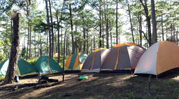 Dalat camping during jungle fever tour